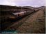 Safeway freight train running south at Dalwhinnie.<br><br>[Ewan Crawford //]