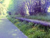 Looking west to Lochwinnoch, this shows where platform 1 was, platform 2 was in among the trees. This stretch of trackbed is now part of the Cycle Network.<br><br>[Graham Morgan 14/06/2006]