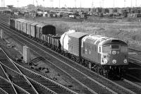 A class 26 takes a freight south through Millerhill yard in 1977.<br><br>[Bill Roberton //1977]
