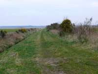 View West to Tayport from the Rhynd Farm Crossing. Line closed 1955.<br><br>[Brian Forbes 25/03/2007]