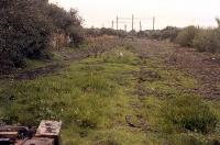 Looking northwest towards Shettleston Junction and the stub of the NB line to Bothwell and Hamilton from the boundary fence in 1988. Track had continued to the camera location until shortly before the photograph, before being cut back - note buffers in the middle distance. The stub had been electrified.<br><br>[Ewan Crawford //1988]