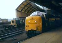 Deltic 55003 <I>Meld</I> stands at the east end of Newcastle Central on 22 November 1980. Class 03 locomotive 03067 shunts in the background.<br><br>[Colin Alexander 22/11/1980]
