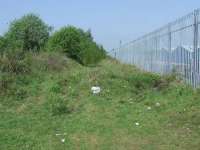 Looking west towards Cart Junction on 14th May. This is the remains of embankment that ran down the hill from Elderslie West Junction to Cart Junction. To the right is the fence of the WH Malcolm Logistics depot in Linwood<br><br>[Graham Morgan 14/05/2008]