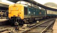 Gateshead Deltic 55011 <I>The Royal Northumberland Fusiliers</I> at Newcastle Central platform 8 on 20 June 1981 with the 1V93, Edinburgh-Plymouth.<br><br>[Colin Alexander 20/06/1981]