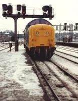 Deltic 55009 <I>Alycidon</I> backing onto the stock of train 1M69 Newcastle - Liverpool at York on a wintry 27 December 1981. This was supposedly the last run of a Deltic to Liverpool - not so!<br><br>[Colin Alexander 27/12/1981]