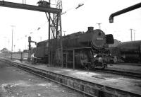 A DB class 043 2-10-0 locomotive taking water at Rheine shed in 1976 as the fireman stands beside the engine reading his newspaper. It took a while to fill up these tenders!<br>
<br>
<br><br>[John McIntyre //1976]