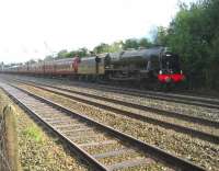 Ex-LMS <I>Royal Scot</I> 4-6-0 no 46115<I> Scots Guardsman</I> heads south on the Up Fast line at Euxton on 6 September 2008 with the outward leg of <I>The Lune Habitat</I> special from Carnforth to Chester (via Hellifield & Blackburn). The train had been held at Farington Junction due to a late running TPE service to Manchester Airport and the driver was obviously trying to make up time!<br>
<br><br>[John McIntyre 06/09/2008]