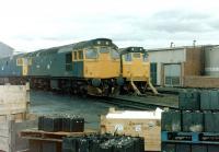 A <I>battery</I> of Type 2s at Eastfield on 27 June 1981.<br><br>[Colin Alexander 27/06/1981]