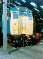 A class 31 locomotive looking fresh from a works visit stands inside Doncaster shed on 31 July 1982.<br><br>[Colin Alexander 31/07/1982]