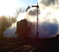 Reminiscent of a David Shepherd painting perhaps... the artist's BR 9F 2-10-0 no 92203 <I>Black Prince</I> emerging from the smoke and steam at Winchcombe on the Gloucestershire Warwickshire Railway on 7 December 2008.<br><br>[Peter Todd 07/12/2008]