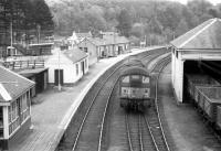 Looking east over the Boat of Garten - Aberdeen platform at Craigellachie in the early 1960s, with the Elgin platforms over to the left. The station opened as Strathspey Junction in July 1863 and finally closed to passengers in May 1968. <br><br>[Robin Barbour Collection (Courtesy Bruce McCartney) //]