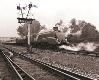 LNER A4 Pacific 4468 <I>Mallard</I> northbound with a special at Princes Risborough on 12 October 1986.<br><br>[Peter Todd 12/10/1986]