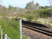 The site of Grange station on the Aberdeen - Inverness line with only the remains of the down platform left. <br>
<br><br>[John Williamson 19/04/2009]