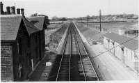Some twenty years after its closure in 1939 this is a view of Barton and Broughton station looking north along the West Coast Main Line. The wooden buildings on the Up platform look in good condition but were later demolished and the platform removed. However, the more substantial stone buildings on the down side remained in use as private residences into the 21st century but were demolished in 2013. [See image 18206]. Picture believed to have been taken by G H Platt. <br><br>[Rev Ron Greenall Collection //1959]