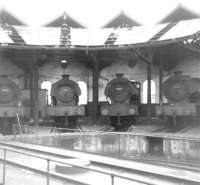 A lineup of J94s (left to right are 68010, 68060, 68051 and 68011) at rest in the half roundhouse at 51A Darlington Shed on 5 April 1964.<br><br>[David Pesterfield 05/04/1964]