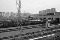A view of the north end of Eastfield MPD on 16 September 1972 showing the vast array of locos awaiting their next duty. The Photo is taken from the ex Caledonian Railway viaduct that carried the switchback railway over the shed roads and E&G mainline. <br><br>[John McIntyre 16/09/1972]