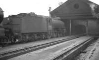 B1 4-6-0 no 61359 seems to be peering into the gloom of St Margarets shed in February 1962. The locomotive was withdrawn by BR at the end of the following year.<br><br>[K A Gray 03/02/1962]