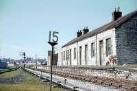 This could be classified as GWR Cheddar Valley Line or Somerset and Dorset. Wells Priory Road was the S&D station in Wells but on the GWR line (GWR trains didn't stop, apparently).<br /><br>
<br /><br>
This was taken in 1963 - the GWR line to Tucker Street and Yatton curves right; the S&D line to Glastonbury turned left. Lovely selection of signals!<br /><br>
<br /><br>
[Railscot note: Interestingly the railway clearing house map of 1914 shows a very short section of the S&D between the two sections of GWR in Wells.]<br><br>[John Thorn //1963]