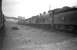 Lineup of condemned locomotives in the sidings alongside Dundee West mineral yard on 28 July 1959. Nearest the camera is Reid ex-NBR <I>Scott</I> class 4-4-0 no 62426 <I>Cuddie Headrigg</I> whose official BR withdrawal date from Stirling South of June 1960 appears to have been several months after it arrived here. 62426 was eventually cut up at Cowlairs Works in July of 1960. Standing on the eastern horizon is Dundee's Queen's Hotel.<br>
<br><br>[Robin Barbour Collection (Courtesy Bruce McCartney) 28/07/1959]