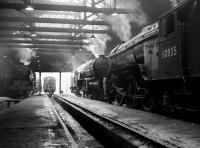Inside St Margarets shed in April 1965. Resident V2s 60955 and 60835 stand on the right, with A1 Pacific no 60145 <I>Saint Mungo</I>, a visitor from York, on the left. [See image 27075] <br><br>[Robin Barbour Collection (Courtesy Bruce McCartney) 16/04/1965]