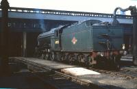Gresley V2 2-6-2 no 60923 on shed at Eastfield in May 1959.<br><br>[A Snapper (Courtesy Bruce McCartney) 23/05/1959]