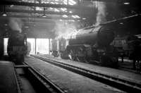 Looking out from the back of St Margarets shed on 16 April 1965 A1 Pacific no 60145 <I>St Mungo</I> stands on the left with V2 60955 in the centre. Over to the right a <I>Peak</I> hides in the shadows. [Note: the Pacific had  worked the previous day's 9.30am York - Glasgow Queen Street, possibly as far as Edinburgh.] [See image 26768]<br><br>[Robin Barbour Collection (Courtesy Bruce McCartney) 16/04/1965]