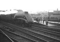 The <I>after school brigade</I> gathers at the south end of Doncaster station on a dull and damp afternoon in the 1960s as A4 no 60032 <I>Gannet</I> takes the up through line with a non-stop service heading for Kings Cross.  <br><br>[K A Gray //]