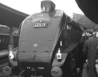 Close encounter with 60019 <I>Bittern</I> at Newcastle Central on 12 November 1966. The A4 is at the head of <I>The Waverley</I> RCTS special which ran York-Newcastle-Carlisle-Hawick-Edinburgh and back via the ECML. <br>
<br><br>[K A Gray /11/1966]