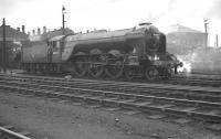 <I>Never looked quite right somehow...! </I> 60097 Humorist, the only A3 fitted with large smoke deflectors, stands at the south end of Doncaster shed in February 1962.<br><br>[K A Gray 18/02/1962]
