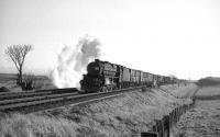 The 1pm Carlisle Yard - Millerhill freight at speed just south of bridge no 28 (Gretna to Westgillsyke Road) on 28 November 1964. [See image 28055]<br><br>[Robin Barbour Collection (Courtesy Bruce McCartney) 28/11/1964]