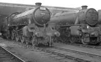 B1 61051 stands alongside Black 5 45102 on a busy Blackpool Central shed (24E) in 1962. The 5 was a resident but the B1 looks like one of the many locomotives that visited 24E after working into Blackpool Central on excursion trains at that time, in this case probably from the Sheffield area. The shed eventually closed in 1964 along with the large station it was built to serve [see image 30284] and much of the area is now a car park.<br><br>[K A Gray 23/09/1962]