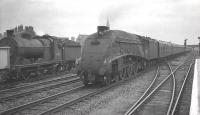 60023 <I>Golden Eagle</I> receives a salute from the driver of 64450 on a passing goods train at the south end of Doncaster station in July 1961 as the A4 is about to run through on the centre road with the 10.00 Kings Cross - Edinburgh Waverley. <br><br>[K A Gray 29/07/1961]