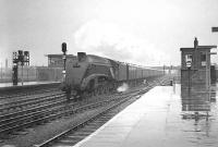 One of the Gateshead batch of A4s no 60005 <I>Sir Charles Newton</I> takes an ECML service for Kings Cross at speed through a very wet Doncaster station in April 1963. The train in this case is the 12.26pm ex-Newcastle Central.<br><br>[K A Gray 11/04/1963]
