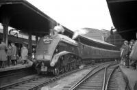 60009 <I>Union of South Africa</I> stands at Newcastle Central on 24 October 1964 following arrival from Kings Cross with the RCTS/SLS <I>Jubilee Requiem</I>. The special, which had arrived via the High Level Bridge, marked the end of A4 running on the London - Newcastle route. [See image 22334]<br><br>[Robin Barbour Collection (Courtesy Bruce McCartney) 24/10/1964]