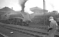 <I>Phew... what a dirty, smelly, smoky old shed this is... in fact it's almost perfect!</I> Happy days at Doncaster in the early sixties - Pacifics on shed include A4 no 60010 <I>Dominion of Canada</I> and A1 no 60139 <I>Sea Eagle</I>.<br><br>[K A Gray 24/02/1963]