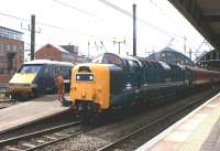 Past and present traction on the East Coast Main Line standing together at Newcastle on 30 August 2010. On the left, recently arrived from Edinburgh, is 91131 en route to London, while on the right is Deltic no 55022 <I>Royal Scots Grey</I>, which had arrived earlier with the Compass Tours <I>Western and Eastern Coastal Express</I> from Crewe.<br>
<br><br>[John McIntyre 30/08/2010]