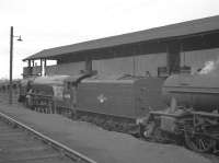 A2 Pacific no 60511 <I>Airborne</I> stands alongside the coaling stage at Heaton shed around 1960.<br><br>[K A Gray //1960]