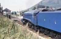 A4 Pacific no 4498 <I>Sir Nigel Gresley</I> heading north for Ravenglass at the small station of Silecroft on the Cumbrian coast in the summer of 1978. The signalbox and  semaphores protecting the level crossing here remain in use to this day.<br><br>[David Hindle 23/08/1978]