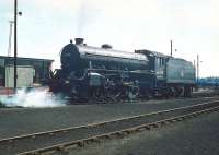 B1 4-6-0 no 61292 on shed at 65A Eastfield in May 1959. <br><br>[A Snapper (Courtesy Bruce McCartney) 23/05/1959]