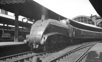 60022 <I>Mallard</I> at Newcastle Central with the <I>'Anglo-Scottish Car Carrier'</I> in the summer of 1960.<br><br>[K A Gray 25/06/1960]