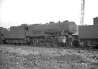 WD Austerity 2-8-0 no 90072 stands in the shed yard at Thornaby in May 1960.<br><br>[K A Gray 29/05/1960]