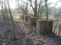 All that remains of the fairly substantial hospital railway station are the ten concrete blocks that used to support the platform, sidescreens and canopy and the crumbling brick base of the old waiting area. The blocks are seen here in March 2011 looking along the last bit of trackbed towards the yard, where the former engine shed still stands. The line closed completly in 1957.  The old station, yard and engine shed are all on private land - photograph taken with kind permission of NHS staff. Map Ref SD 571359. <br><br>[Mark Bartlett 13/03/2011]