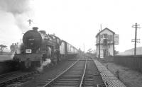 Ex-LMS <I>Crab</I> no 42737 stands at Symington station on 29 March 1964 with the SLS <I>Scottish Rambler No 3</I>. The train had recently returned from a trip along the SB&B branch, since when 42737 had run round prior to taking the special south to Beattock. At Beattock no 80118 waited to take charge for a visit to Moffat [see image 21122].<br><br>[K A Gray 29/03/1964]