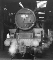 Black 5 no 44781 stands on Carnforth shed in 1968. In common with many surviving locomotives towards the end of steam, number plate, shed plate and any other removable mementoes have long 'disappeared', in this case replaced by white paint. While the shed code 9K shown here refers to Bolton shed, the locomotive spent its last days at 10A Carnforth. 44781, along with classmate 44871, was one of the last BR operational steam locomotives and said its goodbyes on the <I>Fifteen Guinea Special</I> on 11 August 1968, the day before the official BR main line steam ban came into force [see image 30382]. 44781 was officially withdrawn from Carnforth shed by BR at the end of that month. While 44871 ended up in preservation, no 44781 became a (temporary) film star, appearing in the film 'The Virgin Soldiers'. Unforunately it was 'wrecked' as part of the film and cut up on site afterwards.<br><br>[A Snapper (Courtesy Bruce McCartney) //1968]