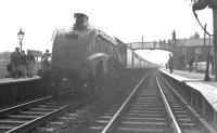A4 at Auchinleck. 60004 <I>William Whitelaw</I> stands at Auchinleck on 30 June 1963 with the RCTS <I>'Three Summit Rail Tour'</I>. The A4 had taken over from 103+57581 [see image 34245] and was about to take the special south as far as Carlisle. <br><br>[K A Gray 30/06/1963]
