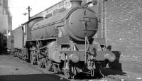 B1 61010 <I>'Wildebeeste'</I> on shed at Aintree on 14 April 1962. <br><br>[K A Gray 14/04/1962]