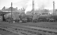 Locomotives ready for the road in Doncaster shed yard on 7 October 1962 include A4 60017 <I>Silver Fox</I>, B1 61256, and A4 60032 <I>Gannet</I>.<br><br>[K A Gray 07/10/1962]
