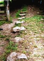 Near Calke Abbey in Derbyshire, two lines of stone setts mark the course of the Ticknall Tramroad; which was largely used to carry quarried stone to the nearest canal. [See image 36959]<br><br>[Ken Strachan /08/2010]