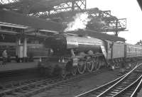Summer Saturday 9.2am ex-Ely runs into Newcastle Central on 17 June 1961 having arrived via the High Level Bridge. Locomotive in charge is A3 Pacific no 60088 <I>Book Law</I>. <br><br>[K A Gray 17/06/1961]