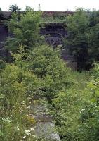 By the late 1970s, the remains of Maldon West station were well and truly overgrown and only accessible by a circuitous walk. The platforms and goods yard were separated by an under road tunnel, the bricked up northern portal and one of the platforms being visible here. The booking office was located above the portal at road level. The passenger service ended in 1939 and the last traffic passed through in 1959. The trackbed between Maldon West and Maldon East was finally claimed by the A414 town bypass and a roundabout now covers this site.<br><br>[Mark Dufton 15/07/1978]